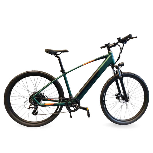 Yoikoto E-Andes Electric Bike 17" Frame in Green