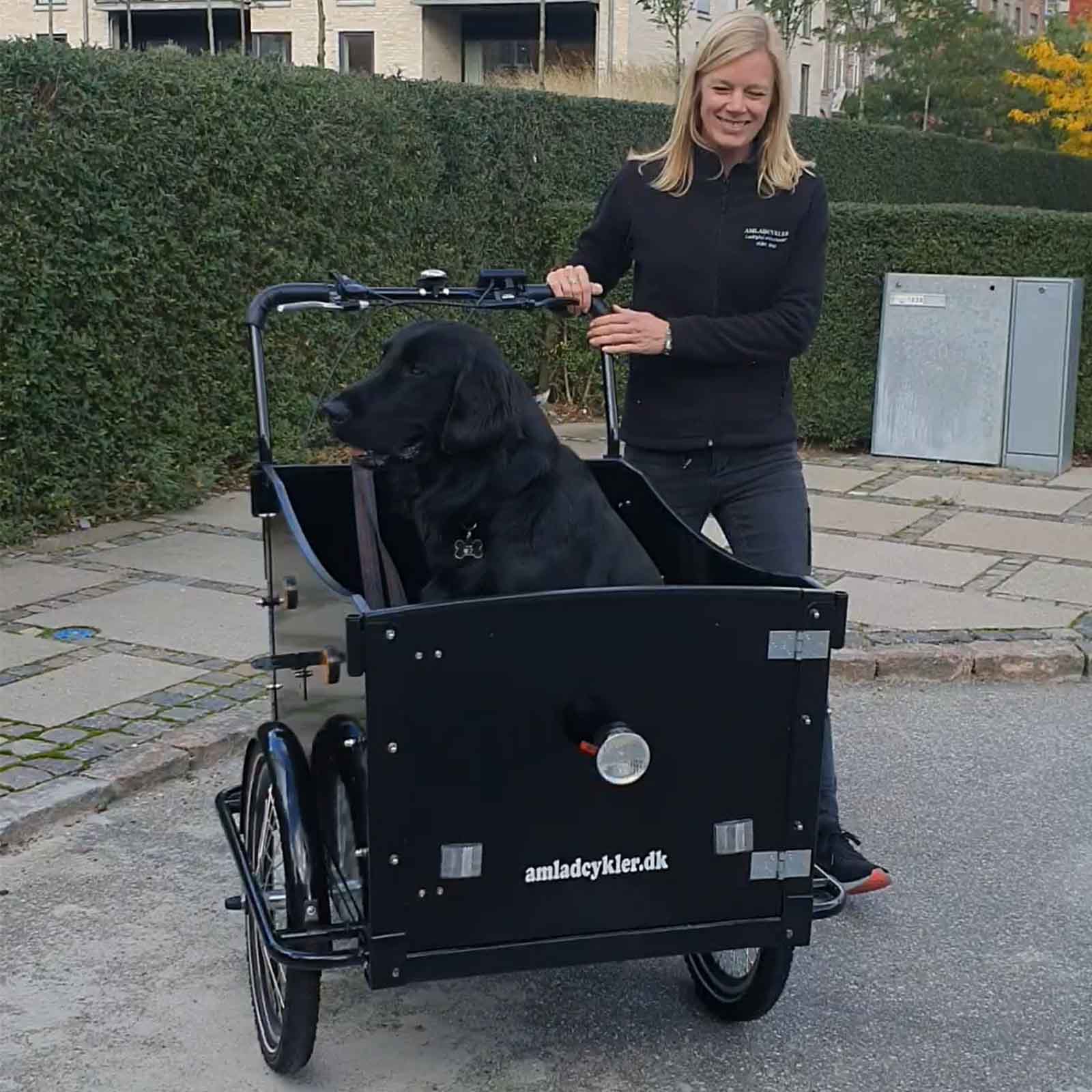 AMCargoBike Curve Dog 2 E-Bike