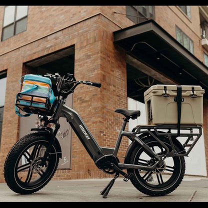 Himiway Big Dog Electric Cargo Bike 250W Motor