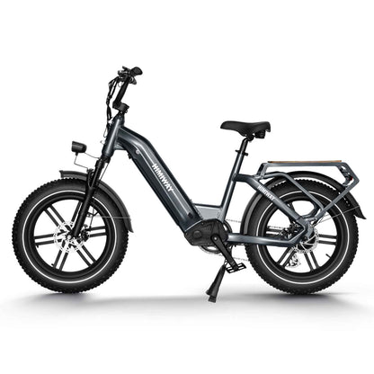 Himiway Big Dog Electric Cargo Bike 250W Motor