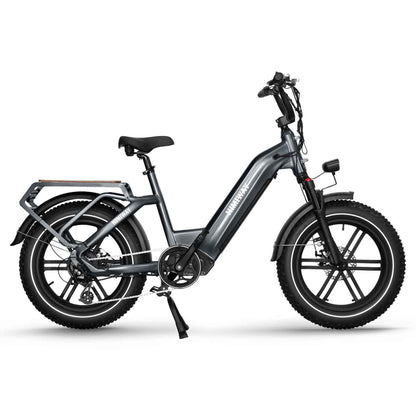 Himiway Big Dog Electric Cargo Bike 250W Motor