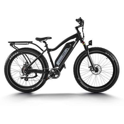 Himiway Cruiser Long Range Fat Tyre Electric Bike 250W Motor EBike