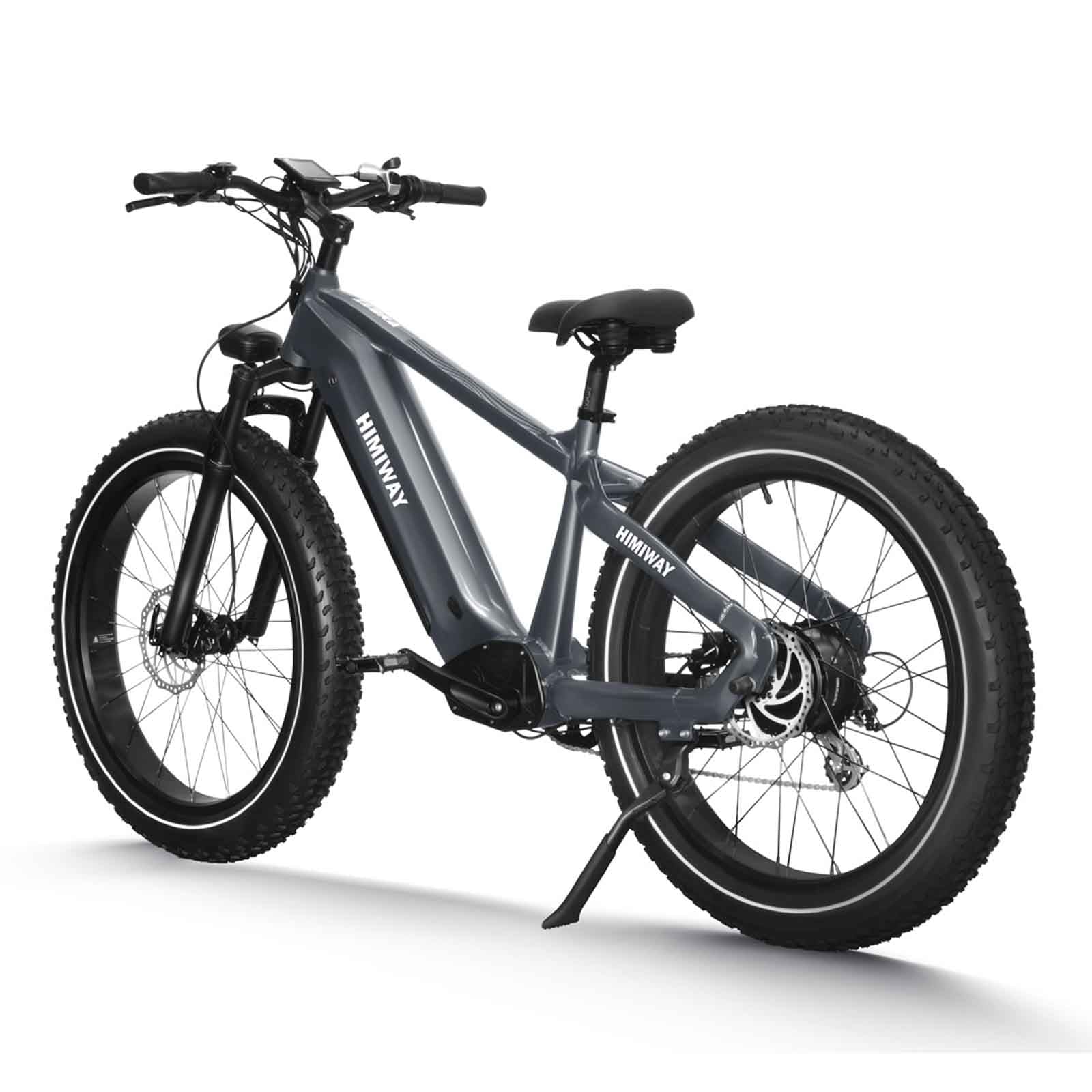 Zebra fat deals bike