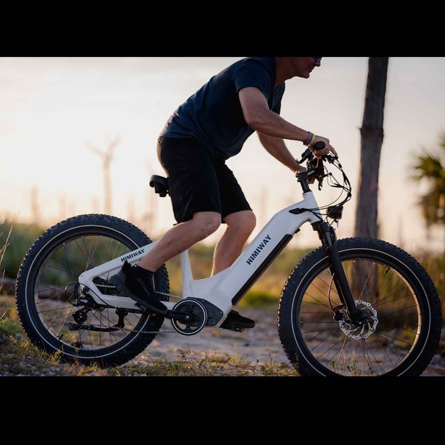 Himiway Zebra Step Through Premium All-terrain Electric Fat E-Bike 250W Motor