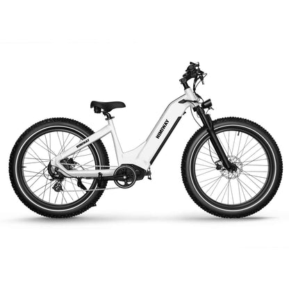 Himiway Zebra Step Through Premium All-terrain Electric Fat E-Bike 250W Motor