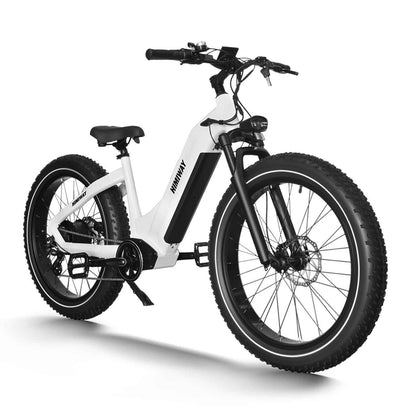 Himiway Zebra Step Through Premium All-terrain Electric Fat E-Bike 250W Motor