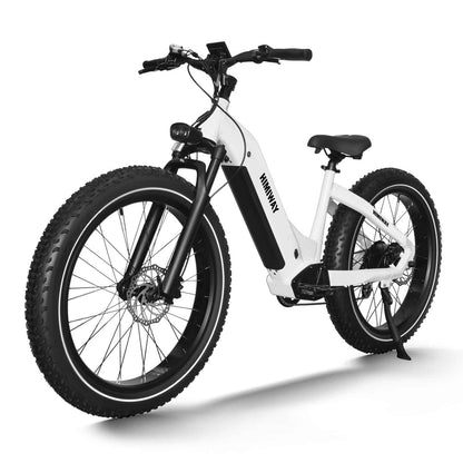 Himiway Zebra Step Through Premium All-terrain Electric Fat E-Bike 250W Motor