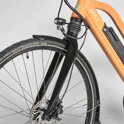 Juicy Bike Roller Apricot Electric Bike 250W Motor in Orange