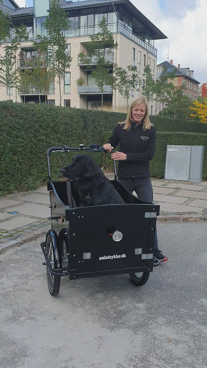 AMCargoBikes Curve Dog Friendly Electric Cargo Bike