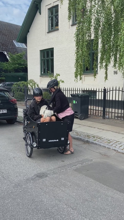 AMCargoBikes Open Kindergarten Electric Cargo Bike